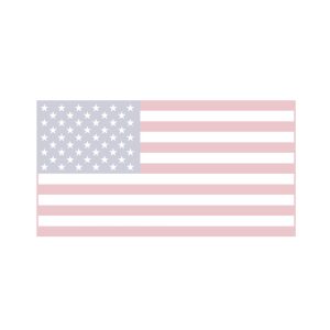 Rustic American Flag
